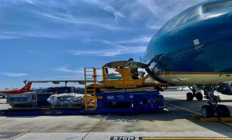 Lịch Bay Trực Tuyến